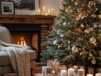 Decoracion_Navidad_2025 (19)